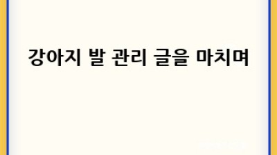 여름철 우리 강아지 발 건강하게 지켜주기